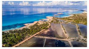 SALINAS Y MOLÍ DE SAL - AEREAS