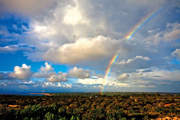 Formentera "In A Pure State" Vol. 1 - Juan Picca Photographs  Book.