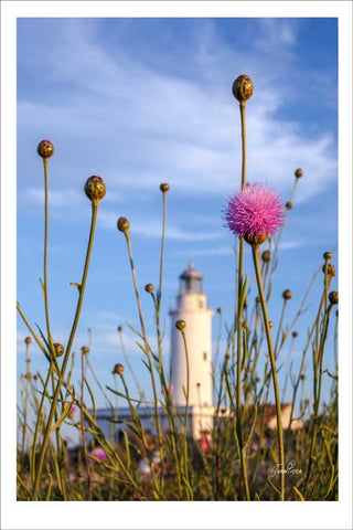 FARO MOLA FLORES - FAROS Y NOCTURNAS