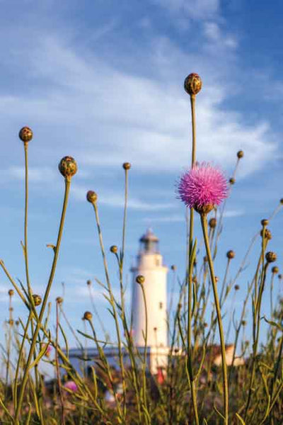 Formentera "In A Pure State" Vol. 1 - Juan Picca Photographs  Book.