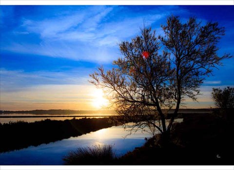 SUNSET 12 - SUNSET