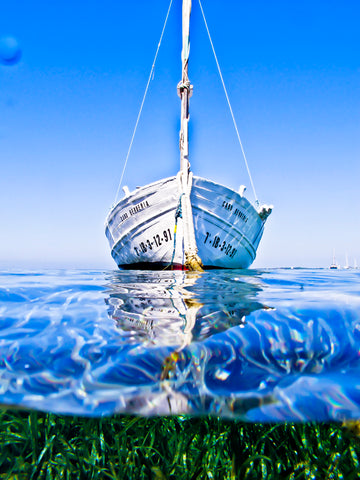 LLAUT POSIDONIA - BARCOS