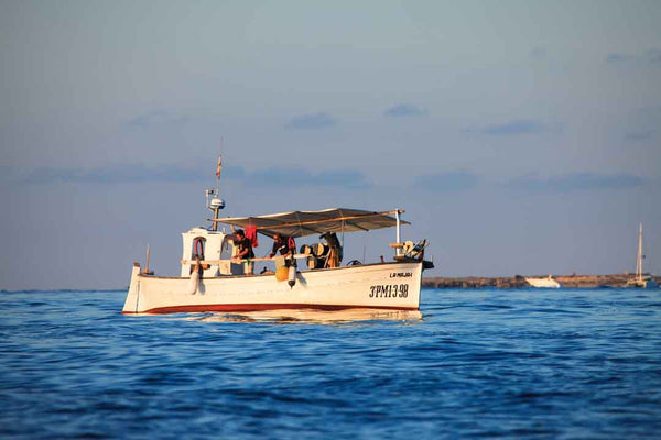 Formentera "In A Pure State" Vol. 1 - Juan Picca Photographs  Book.