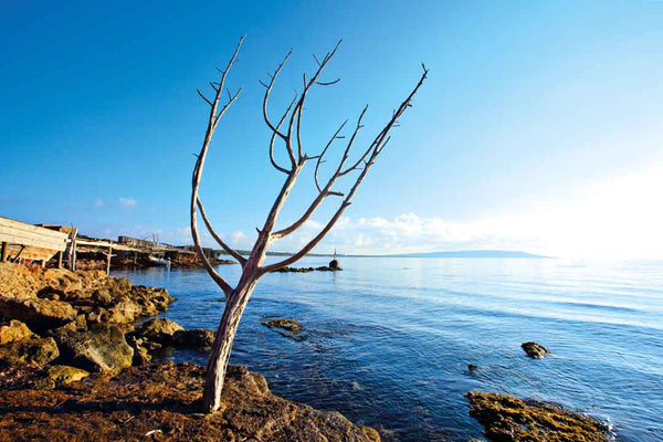 Formentera "In A Pure State" Vol. 1 - Juan Picca Photographs  Book.