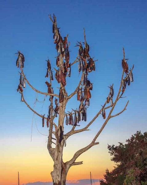 Formentera "In A Pure State" Vol. 1 - Juan Picca Photographs  Book.