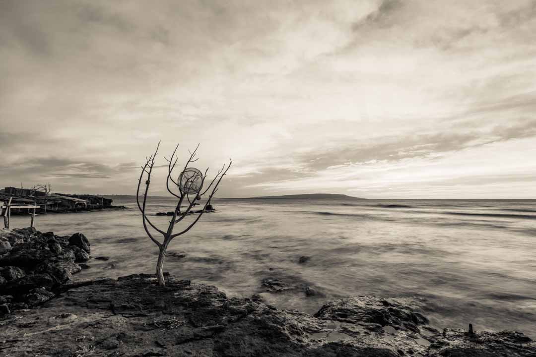 VARADERO SA ALGA ARBOL 3  - BARCOS