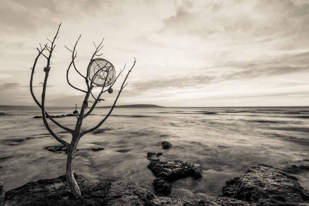 VARADERO SA ALGA ARBOL 5  - BARCOS