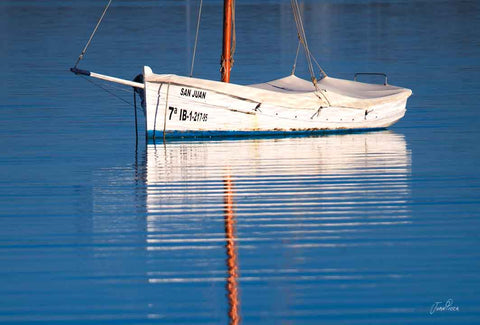 LLAUT REFLEJOS - BARCOS