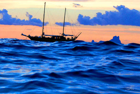 GOLETA TEMPORAL - BARCOS