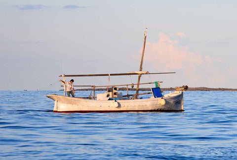 LLAUT PESCANDO - BARCOS