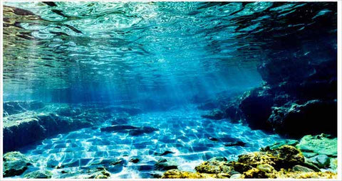 CALMA BAJO EL MAR - SUB